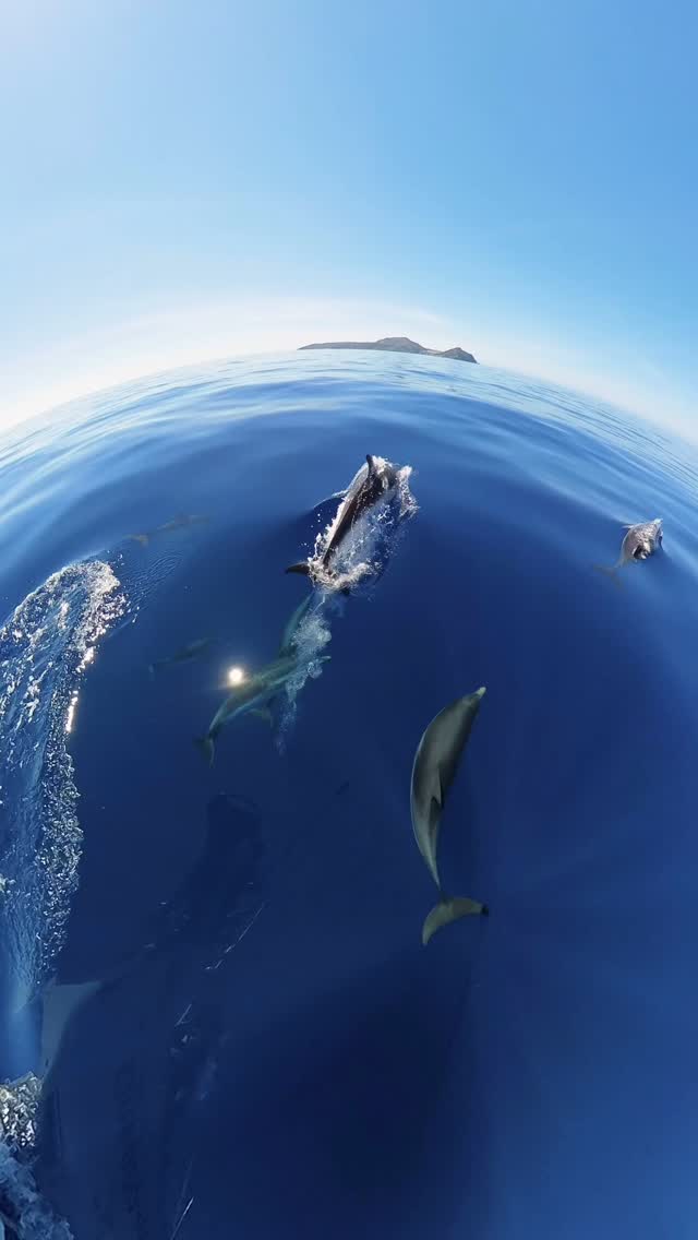 Ricordi di un viaggio indimenticabile verso la Sardegna, dove ci troverete pure quest’anno:)
Ancora conservo tutti i video della traversata di un paio di anni fa dalla Grecia alla Sardegna. Una vacanza con tre perfetti sconosciuti che si sono rivelati i migliori compagni che potessi chiedere, sicuramente uno dei viaggi più belli della mia vita.
Chissà magari prima o poi uscirà un nuovo video?
Intanto per ora se voleste fare un’esperienza su Moon Shadow ci trovate a Cannigione ⚓️🌊
#sail #sailing⛵️ #sea #nature