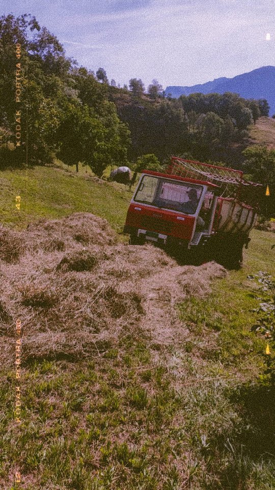 Gestern haben wir das Heu von St. German nach Baltschieder gebracht
#brandeija #bergheuen #heuen #rapid #alltrac