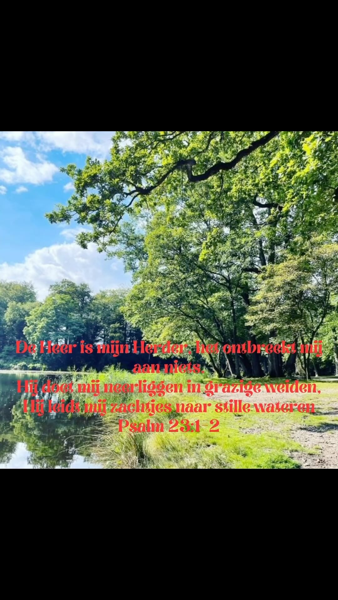 Een bemoediging voor iedereen. Weet wie je leidt want als Jezus jou Herder is, zal je geen tekort hebben, is Hij daar om jou in de rust te leiden. Maak de keuze om Hem te volgen! #Jesus #psalm23 #encouragement #choices #bestchoiceever