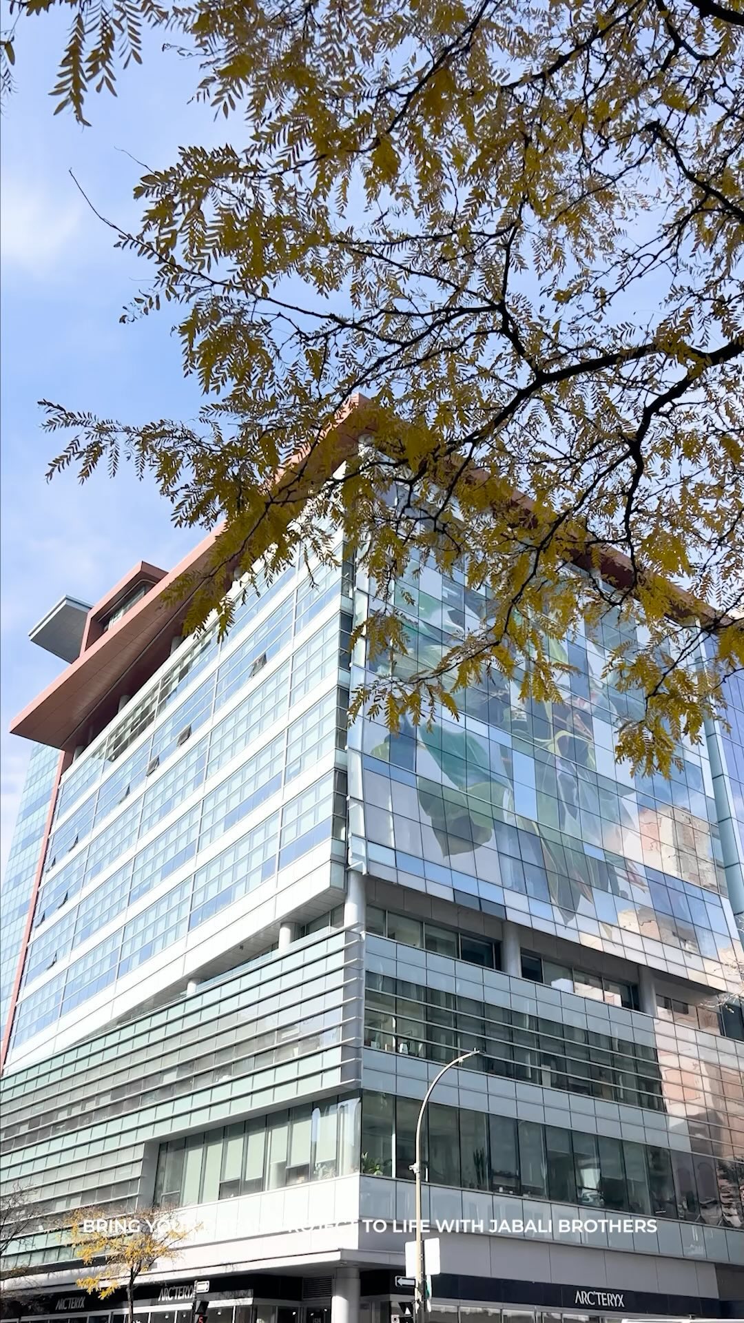 @fuwafuwa.montreal #frenchie #japanese #montreal #jabalibrothers Designed by : @idcadesign_jabalibrothers_