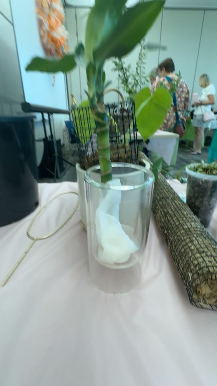 Plants swap day #plantslover