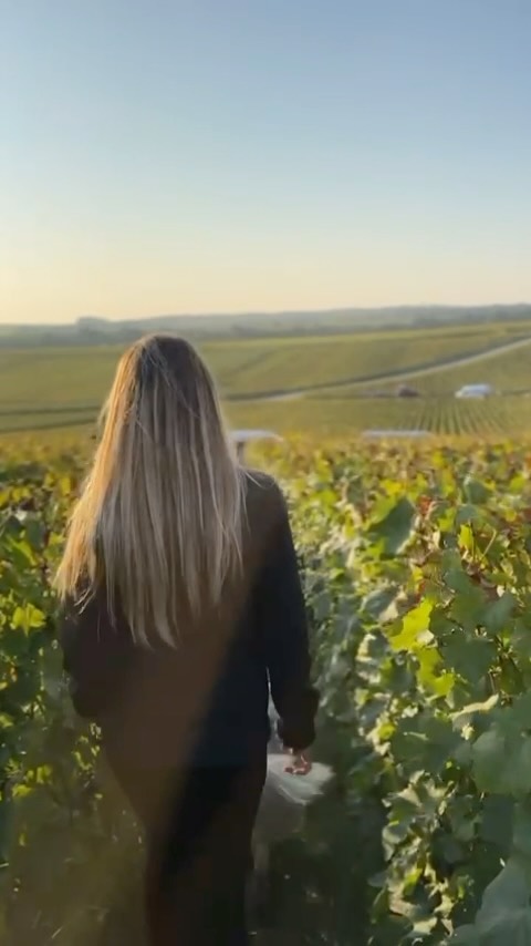 Vendanges 2024
C’était plus sympa sous le soleil mais la campagne 2024 se terminera comme elle a commencé, sous la pluie 🌧️
Encore quelques jours…
Les rendements sont faibles mais les raisins rescapés du mildiou sont encore plein de surprises 💭
Bientôt le verdict au chais.
#villersmarmery #amargaine #margaine #chardonnay #champagne #1ercru #champagneamargaine #winegrower #sun #womendowine