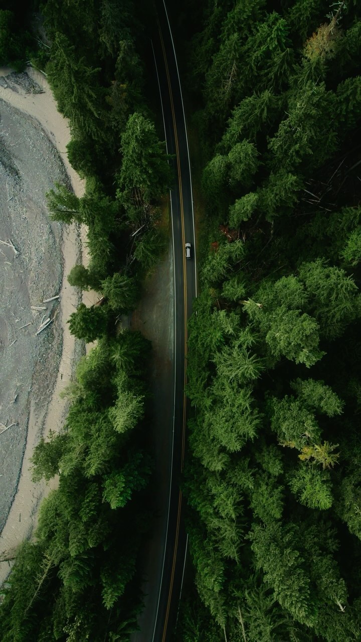 Get away from the noise, and make time for your yourself.
•
•
•
📍Mount Rainer National Park