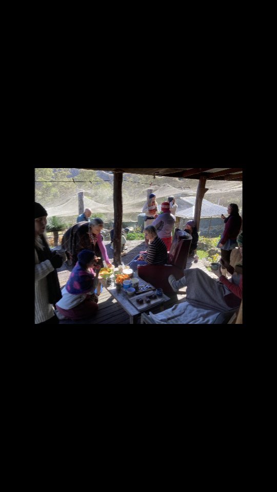 THE WAY OF THE WARRIORESS ~ You may have heard the inner whisper and received signs and omens from the universe...
Accept this as your invitation to call the Warrioress into your life.
Step onto the pathway
Let Black Unicorn and Goddess Isis be your guide to your first journey ✨️💛
Find your way to the link below...
https://www.amazonianarts13.com/offers/TQtK2tsY/checkout
#thesisterhood #amazonianarts13 #thewayofthewarrioress
#fiercefeminine #amazonianastrology
#FollowBlackUnicorn #findyourway