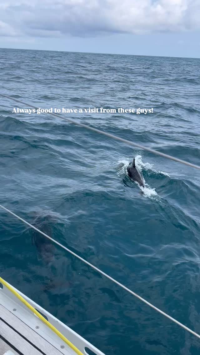 #scilly yacht charters #sailscilly #islesofscilly #islandlife #