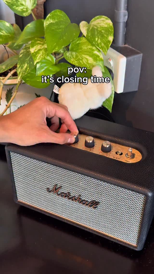 Doors shut = concert starts 🪩🕺🍕
#slowdoughpizza #perthfood #pertheats #cafetrend