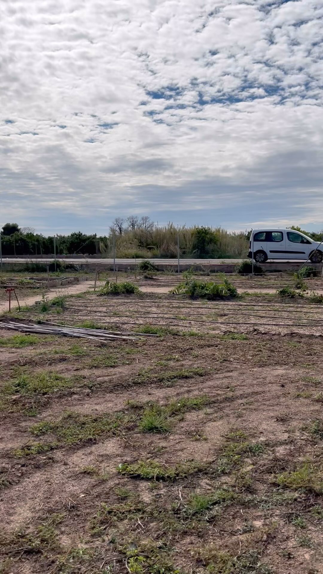 Un domingo huertero que nos llena el corazón! ❤️