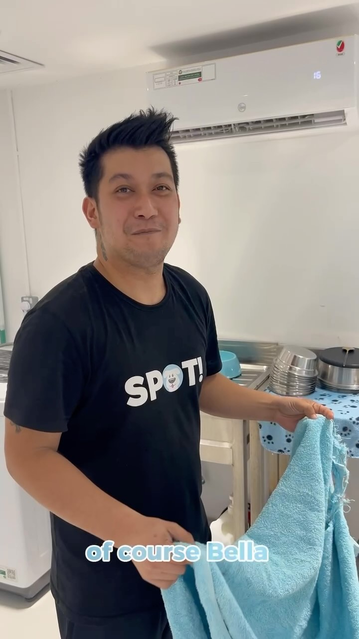 What’s YOUR Favorite Dog Name? 🩵 <Watch until the end 😘>
Comment below - most liked name gets AED 50 credit to their SPOT! account 💰 We’ll 📍the winner 🏆
#dubaidogs #dogsindubai #dubai #mydubai #dogs #nyc #hellofromspot #boarding #grooming #welovedogs #dogsofdubai #dubaidog #doggieboarding #doggiedaycare #doggieboarding #dogdaycare #dogdays #uaedogs #dxbdogs #everydayawesome #adoptdontshop #pethealth #petnutrition #happypup #dog