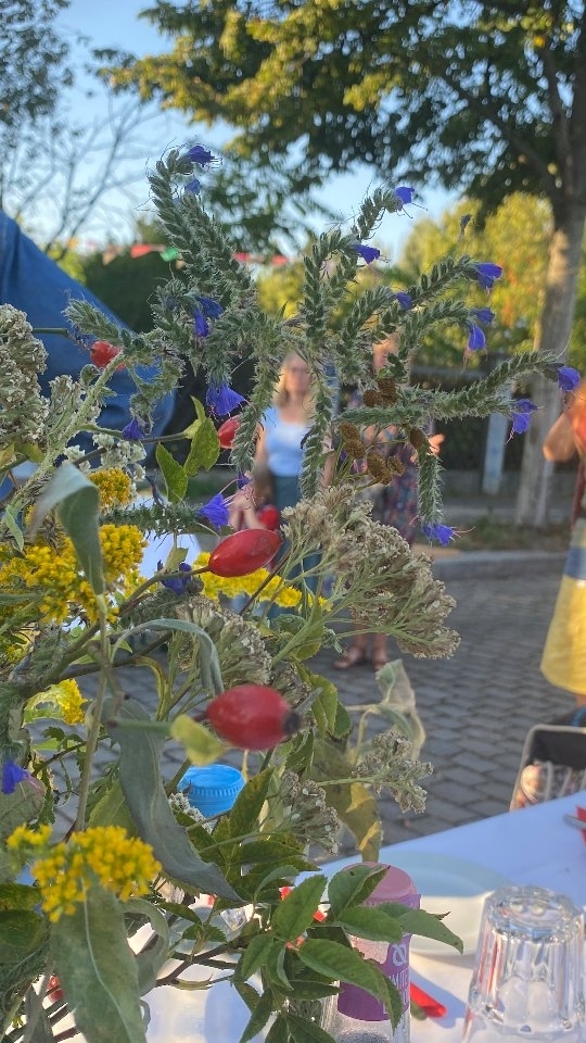 ✨️Happy und Dankbar✨️
Das fasst es zusammen, wenn wir uns die Bilder und Videos der Langen Tafel, unserem Kiez-Erntedankfest, nochmal anschauen.😍
Im September haben wir an einer festlichen Tafel mitten auf der gesperrten Brockenstraße, zum zweiten Mal die Ernte des Harzer Kiezes gefeiert und geteilt. 🍂🥰
Zwei Stunden lang wurde geschlemmt und geplaudert, Kontakte geknüpft und Danke gesagt.
Danke für die Ernte.🥕
Danke für das Essen. @cranescanteen
Danke für das Müllsammeln im Vorfeld. @kulturlabor_trial_error
Danke für das Engagement und vielen Dank für die Blumen. 🌼 @harzerkiez
Der Tag war wirklich ein voller Erfolg und wir freuen uns schon auf die Lange Tafel im nächsten Jahr! 😊💚
#HarzAcker #HarzAckerP25 #HarztalWildeRose #parzellex #pflanzdeinkiez #urbangardening #urbangardeningberlin #communitygardening #gemeinschaftsgarten #urbanfarming #baumscheiben #partizipation #kleingartenanlage #qmharzerstrasse #stadtnatur #umweltbildung #gesundeernährung #neukölln #harzerkiez #konsumfrei #vegan #vegetarisch #senatsverwaltung #berlin #Erntedankfest #Nachbarschaft #kiezliebe #neukölln #dinner #gemeinschaft