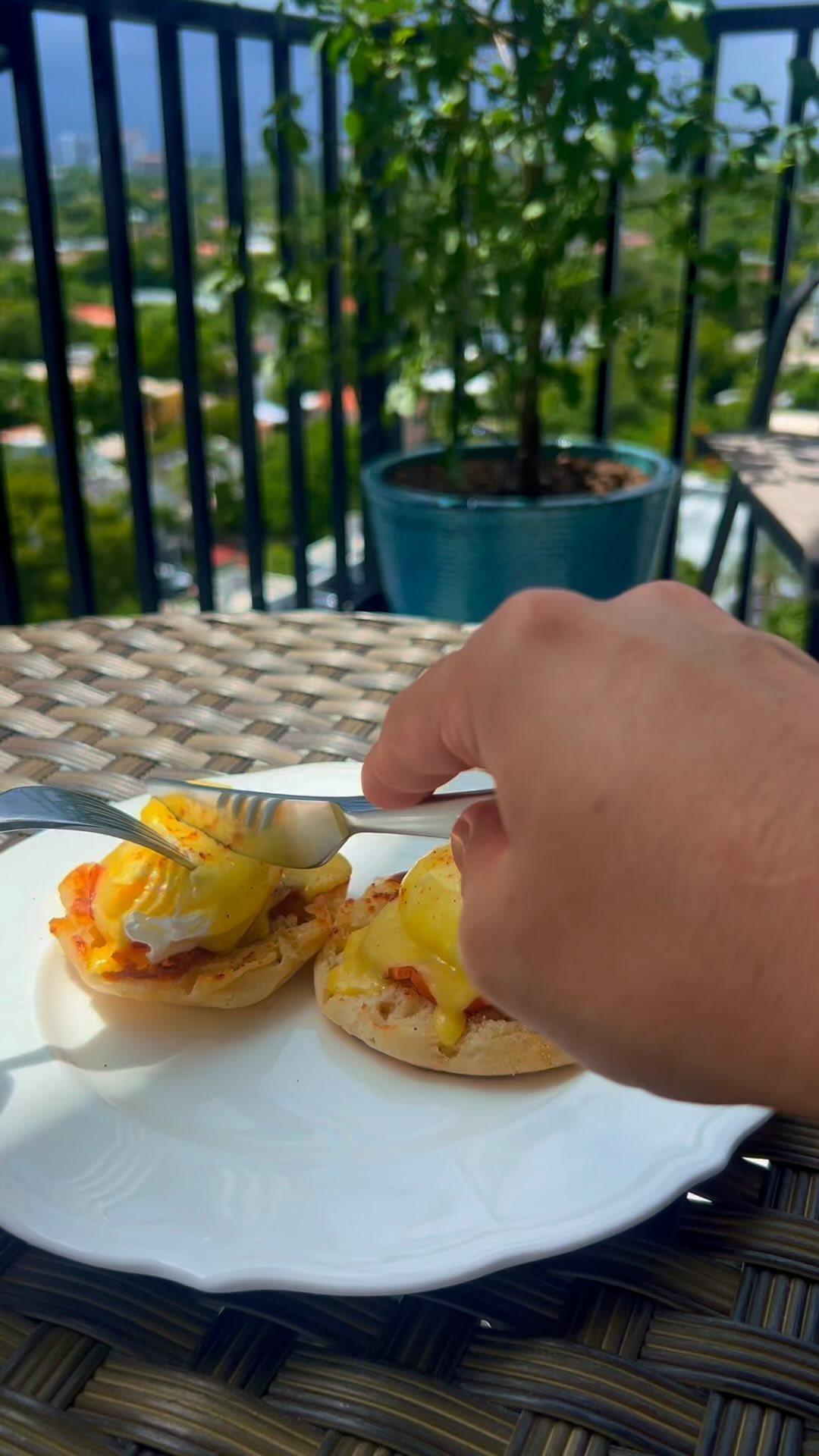 Prepárate para un brunch inolvidable con esta receta de huevos benedictinos, perfecta para sorprender a alguien especial o darte un capricho en casa. 😍✨
Tips para la Salsa Holandesa:
Mantén la salsa holandesa caliente sin cocinarla. Si tu microondas tiene una luz que mantiene el interior tibio, puedes dejarla ahí, pero ¡nunca la calientes en el microondas! Si no tienes un lugar tibio, déjala cerca de la estufa para que no se enfríe ni se cocine de más. 🧑🍳
Ingredientes (1 plato):
• 2 tapas de pan inglés (English muffins)
• 2 huevos frescos 🥚
• 2 lonchas de jamón canadiense 🇨🇦
• Para la salsa holandesa:
• 2 yemas de huevo 🥚
• 100 g de mantequilla clarificada 🧈
• 1 cucharada de jugo de limón 🍋
• 1 cucharada de agua 💧
• Una pizca de sal 🧂
• Una pizca de cayena 🌶️
#brunch, #recetafacil, #recetacasera, #huevosbenedictinos, #cocinafrancesa, #jamoncanadiense, #salsaholandesa, #desayunosaludable, #desayunogourmet, #foodie, #instafood, #comidainstagram, #brunchtime, #breakfastgoals, #paningles