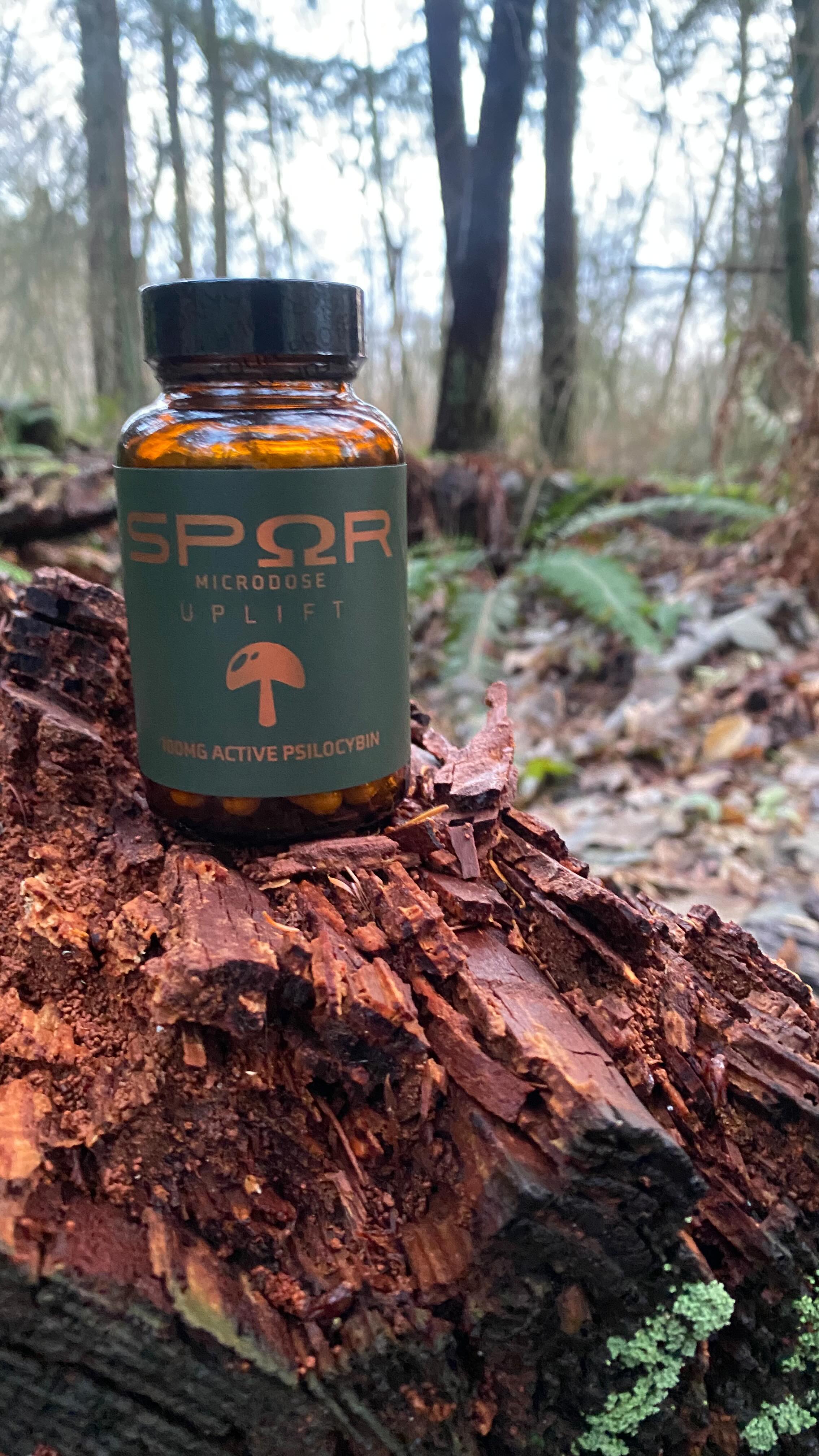 We’re grateful to be a part of your journey towards wellness. Thank you for sharing your experiences with us. 🙏🍄✨
Use code ‘WELCOME10” for 10% off your first purchase.
#mushlove #wellness #gratitude