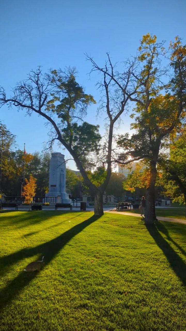 Calm evening 🌆
Fall season 🍂 🍁