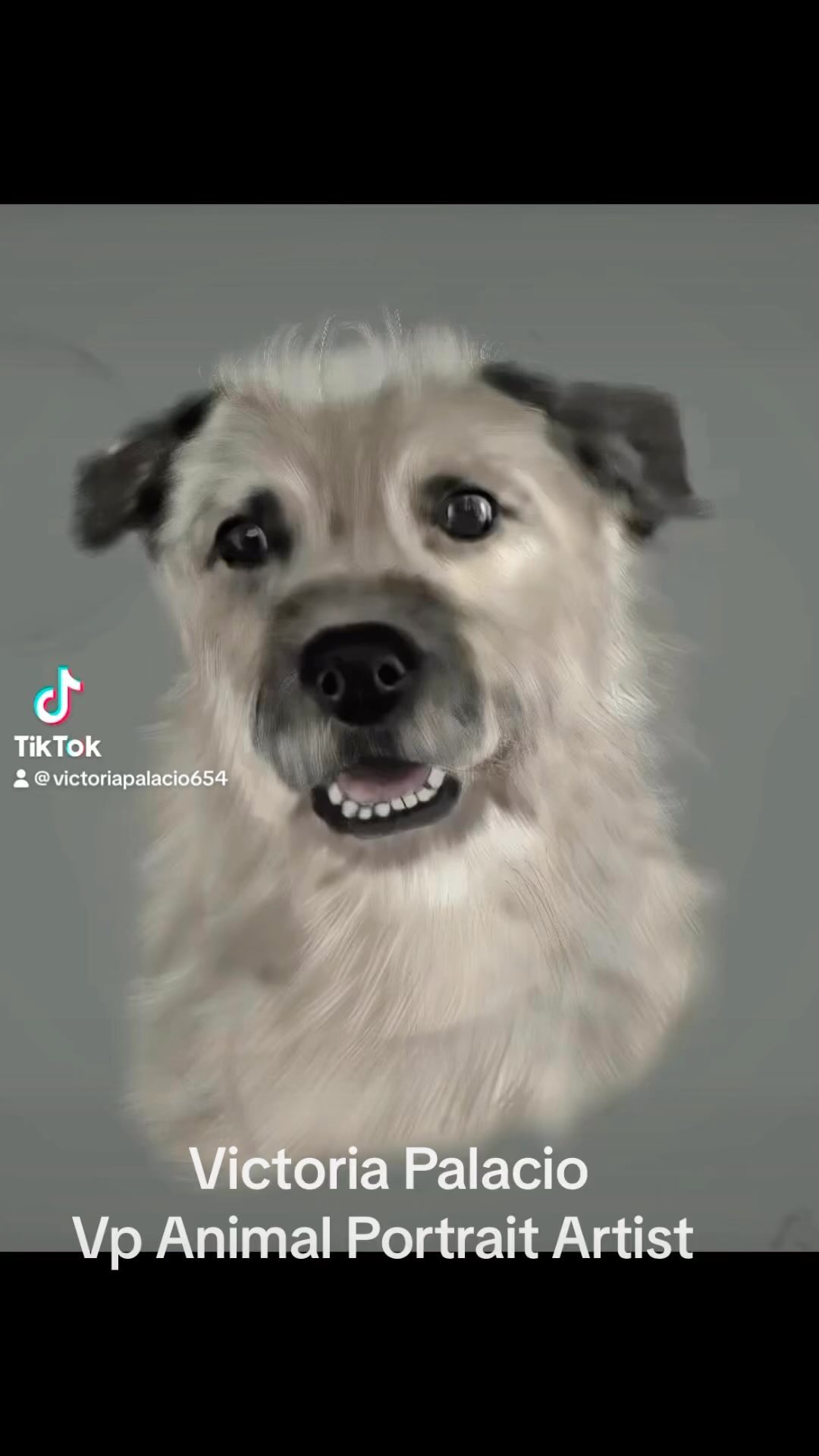 Hi all. Digital drawing. I hope you like it . Remembering Cali.
#doglover #vpanimals #vpanimalportraitartist