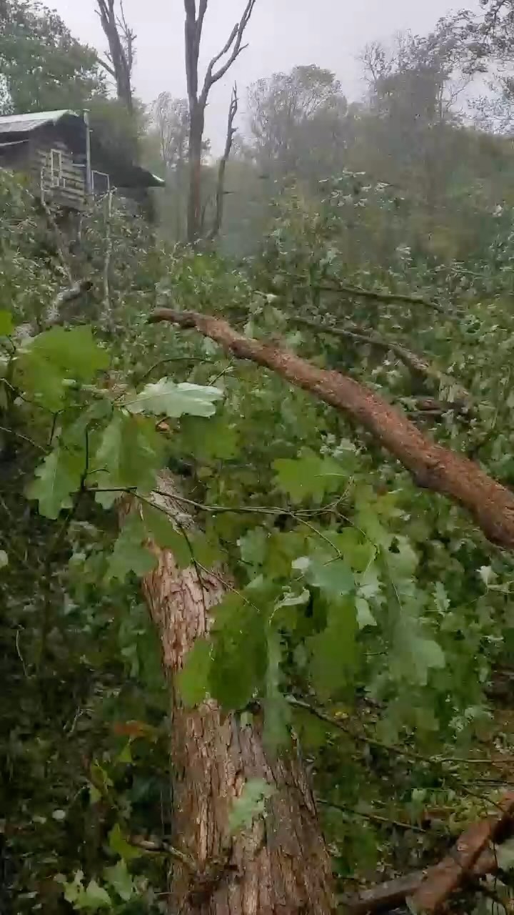 Quick video of our pasture after Helene’s rains calmed down. Thank you to all who checked in on us, and those who sent help in all forms. Our humans and animals and house are fine, but so many in WNC are not. So much loss. Thanks to a borrowed generator we could run our well pump and wifi periodically, and with a gas grill and thawing freezer we fed a rotating mash-up of friends, family, and neighbors each day. 10 miles down the road Chimney Rock Village is gone; a friend’s sheep are gone; a friend is gone. And all around we resilient human creatures are working, working, working. Holding loss and hope, one in each hand.
Thanks @vodocxeno for the video ♥️#hurricanehelene #wnc #appalachia #gratitude