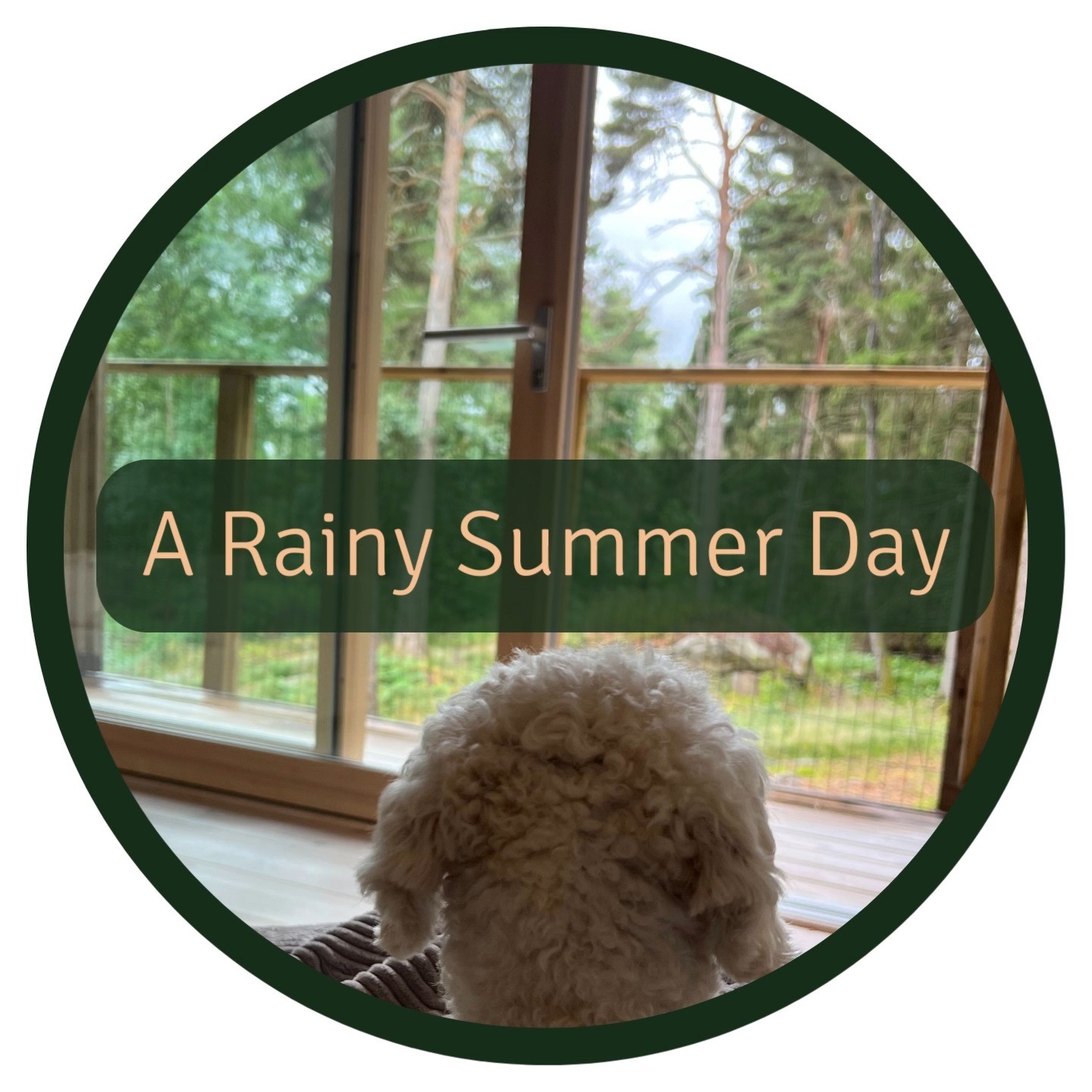 🌧️ Rainy Day Brain Boosters for Your Pup! 🐾💡
When the rain is pouring outside, it's time to get those doggy brains working indoors! Here are some fun and engaging activities to activate your pup's mind and beat the rainy day blues! 🌧️🧠
1️⃣ Blanket Treat Hunt: Grab a cozy blanket and hide some delicious treats within its folds. Watch as your furry friend sniffs and uncovers the hidden goodies. It's a sniff-tastic adventure that keeps them entertained and mentally stimulated.
2️⃣ Toilet Roll Treasure Box: Gather empty toilet rolls and place small treats inside each one. Then, put the rolls in a box, and let your dog use their snout or paws to uncover the tasty surprises. This DIY puzzle will challenge their problem-solving skills and keep them engaged.
3️⃣ Search and Find Fun: Hide your dog's favorite toys or treats in various spots around the house and encourage them to sniff them out. Start with easier hiding spots and gradually increase the difficulty level. This game taps into their natural instincts and provides a rewarding mental workout.
4️⃣ Bottle Treat Challenge: Take an empty plastic bottle and put some treats inside. Just make sure your dog isn't scared by the sound of the bottle. It's a fantastic way to provide mental stimulation and keep their mind sharp.
5️⃣ Dog Puzzle Time: Invest in a dog puzzle toy or borrow one from a friend. These interactive toys challenge your pup to solve puzzles to access treats. They'll be entertained and mentally stimulated while honing their problem-solving abilities.
6️⃣ Bowling Bonanza: Teach your pup how to knock down empty toilet rolls! Set it up and guide your dog to roll a ball to knock them over. It's a super fun and mentally engaging indoor activity that also improves their coordination.
Rainy days don't have to be dull for our furry pals. Embrace the indoor opportunities and enjoy quality time with your pup, while giving their brain a good workout. 🌧️🧩❤️