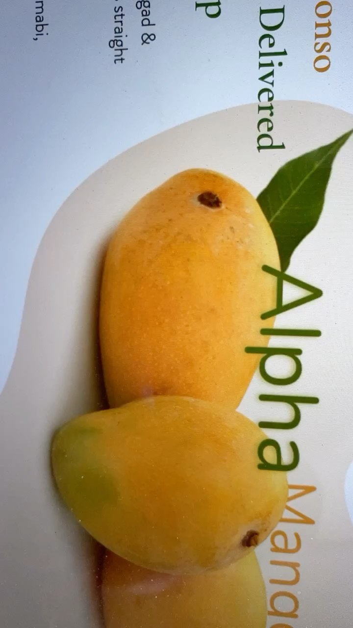 Website update! Do you know the delicious varieties of mangoes in India. I hope we can bring you all the varieties at your door step one day 😎😇
#website #alphamangoes #mangovarieties #indianmangoes #mangoseason #deliciousmangoes #yummy #tasty