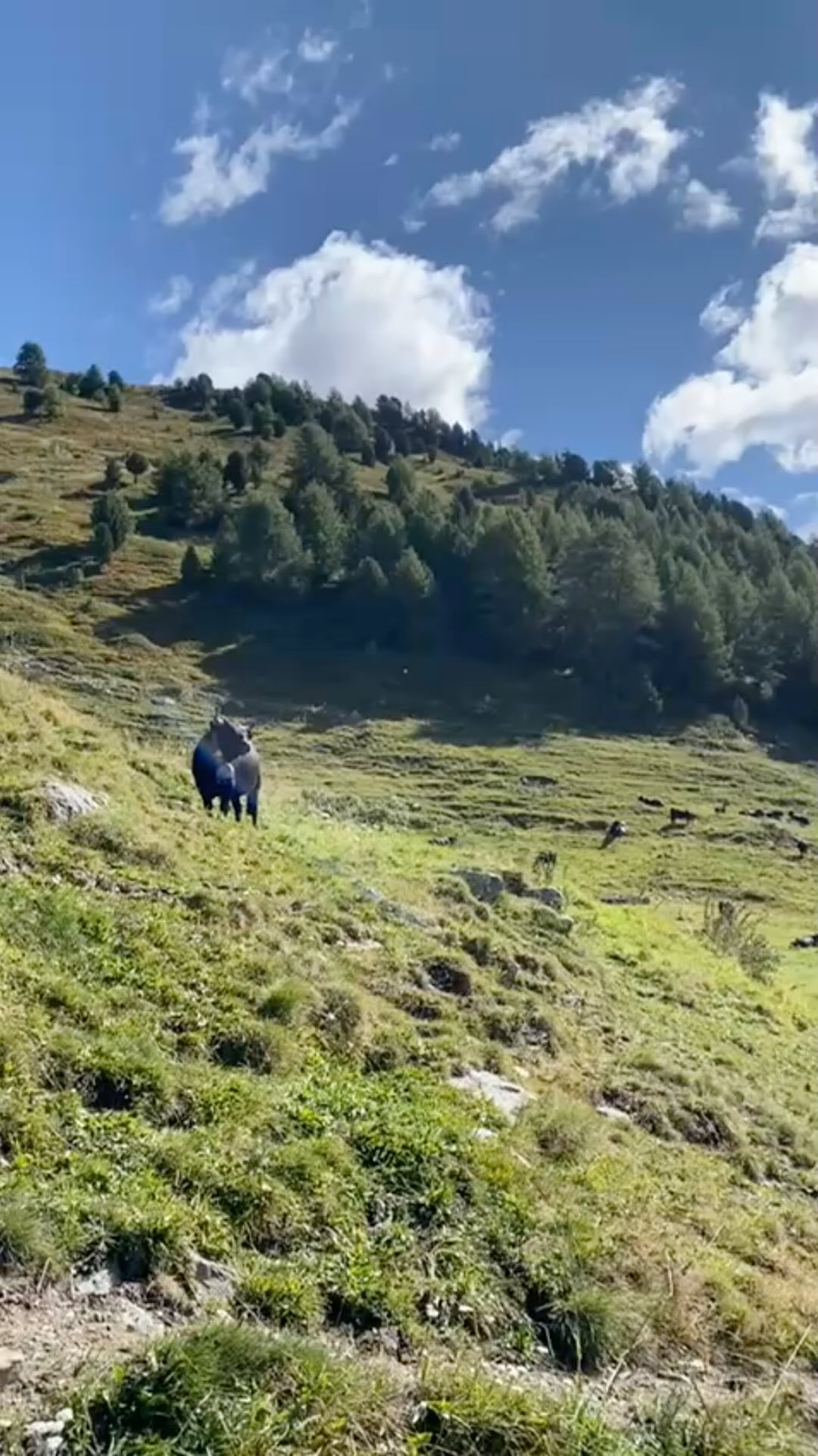 Summer 2024 ✅ Another epic season in the @valdanniviers and still some autumn trail running fun to be had of course 🍂
Looking ahead to winter, we still have some AVAILABILITY for CHRISTMAS & NEW YEAR WEEKS. If you fancy celebrating with us, we’d love you to get in touch 🥂
#mountainsummer #trailrunning #chaletlife #chaletholiday #winteriscoming #skiholiday #switzerland #valdanniviers