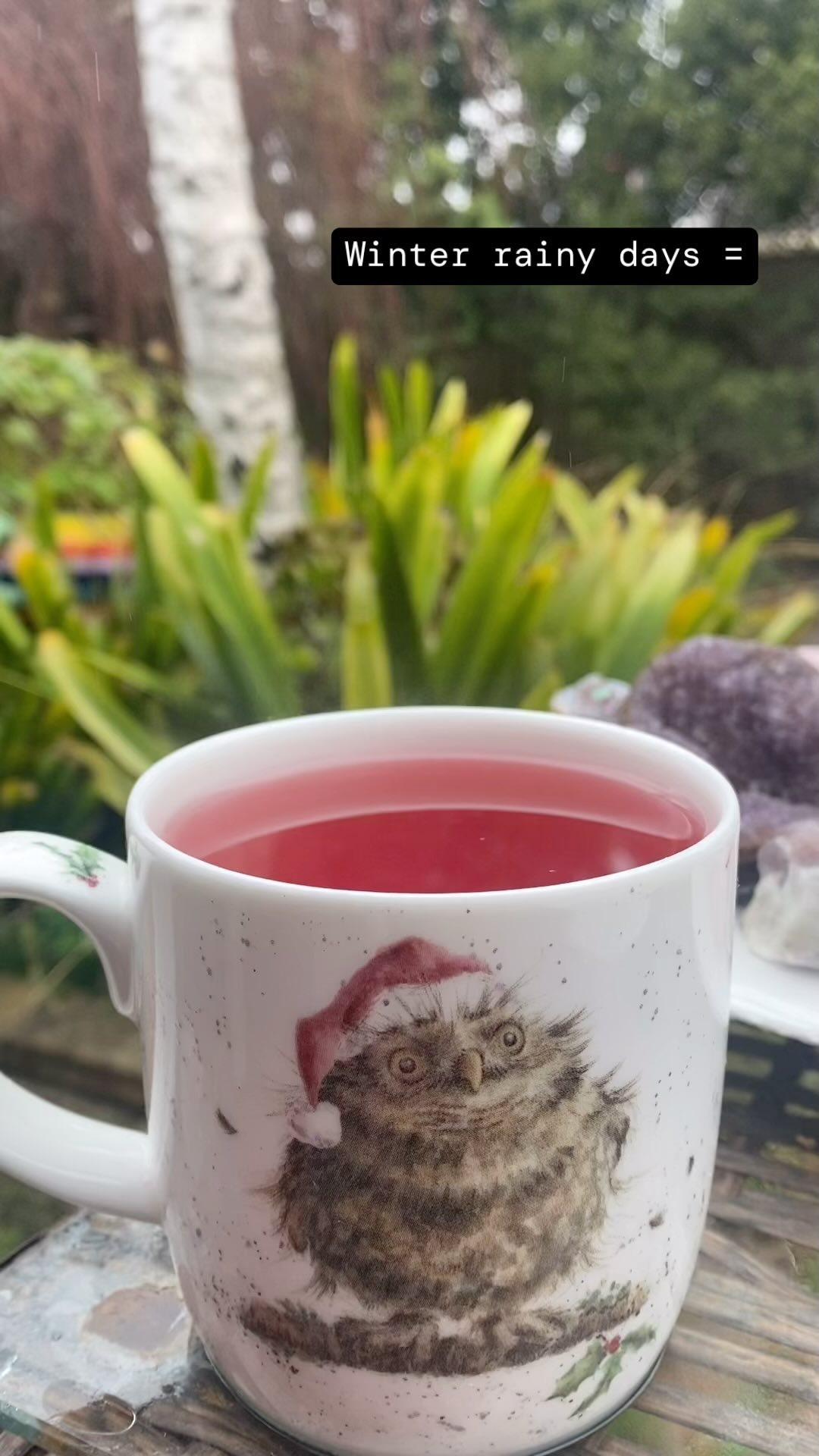Winter rainy days = Hot Immune boosting yummy Tea + Cleansing your crystals.
Boost your immune system during the cool Winter days with Tea. Our Root Chakra tea will help to keep you grounded and is filled with antioxidants.
Cleanse your crystals with a few hours in the rain. Not all crystals like water but these gems do.
#winterandtea #immuneboostingtea #boostyourimmunesystemwithtea #vitaminc #hibiscus #elderberries #herbaltea #healingtea #rootchakratea #cleansecrystalsinrain #amethyst #cleansecrystals #rosequartz #lepidolite #roseauraquartz #celestite #melbournerainydays