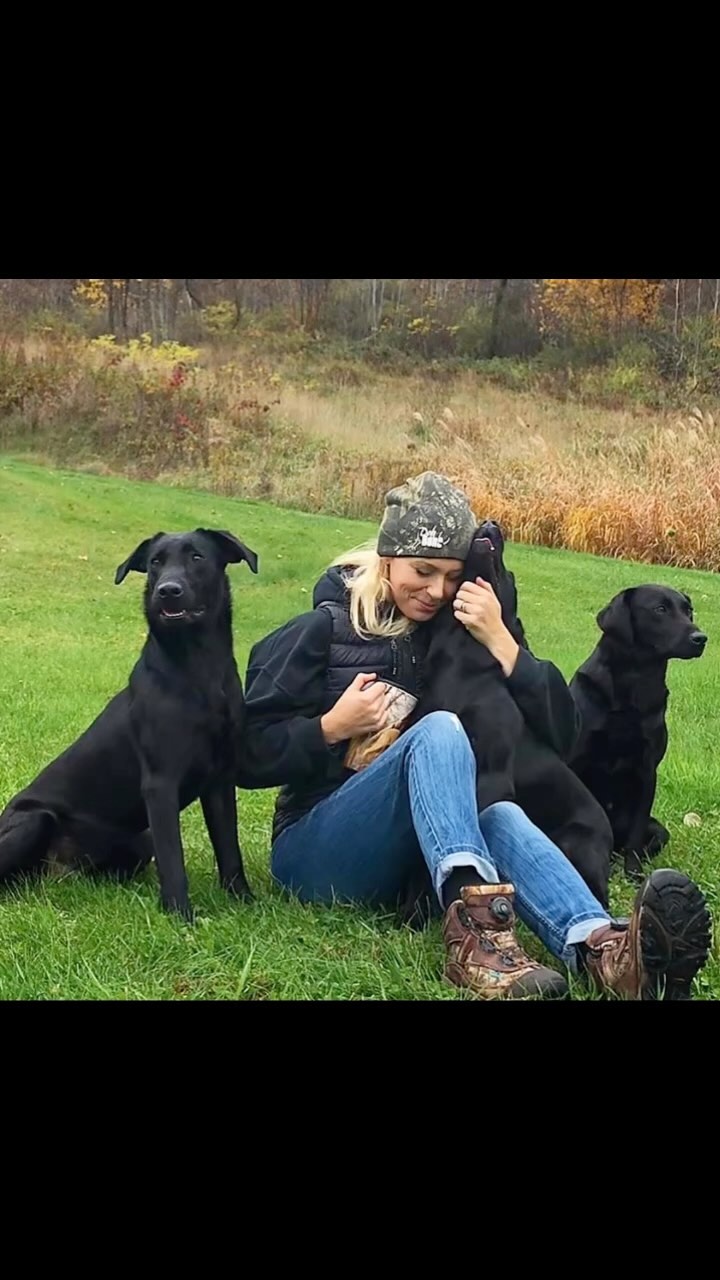 When IG gives me a suggested reel of Tailer and I say ok 🥹❤️🐾
I sure love this ole girl 🥰🥰🥰.
#talesofalab #agirlandherdog