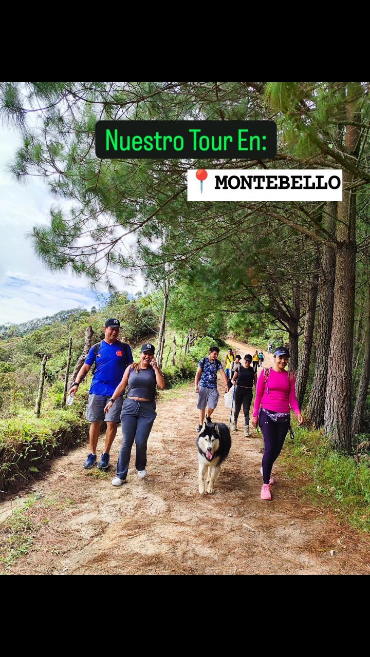 Ayer en Montebello con los Peludos y Viajeros🐕🦺🤸🗺️
#senderismo #senderismocolombia #senderismoantioquia #senderismodemontaña #mascotasviajeras #peludosyviajeros #antioquiamagica