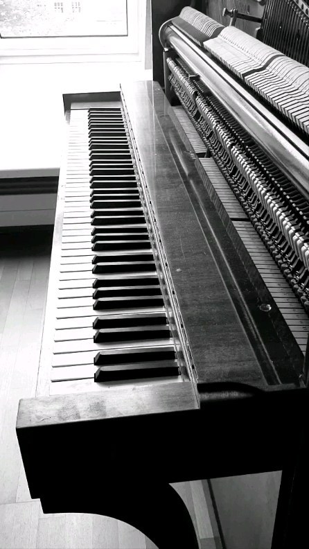 After releasing two EPs in the Grand Piano sound this year ('Nocturnes 1-5' and 'Chopin's Legacy'), the next album will again consist of compositions in the 'Felt Piano' style. It's called 'growing', will be released on Feb 9, 2024 and is dedicated to our son - I musically set his character to music in the first single 'ballade for jb' and when I listen to and play the composition, it's like a mirror of parts of his characteristics. I hope you enjoy listening to it - you can enjoy the whole piece on all streaming platforms starting today. Have a nice weekend everyone!
.
#neoclassical #neoclassicalmusic #piano #pianist #piyano #instapiano #emotionalpiano #pianocomposition #pianosolo #pianogram #instapianist #pianoplayer #growing #silentbeatrecords