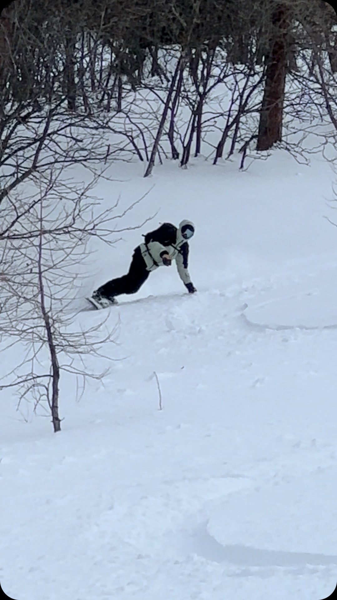 BEN, one of the best and for me for sure the best snowboarding instructor in Chamonix, and today he come with me during a day visiting our playground…. Not the best snow but we find some good turns @sharonestelle
The best things is to enjoy the day a remember the day for a wild 🙏🙏🙏
#snowboarding #snowboard #snow #board #chamonix #powder #guiding #instructor