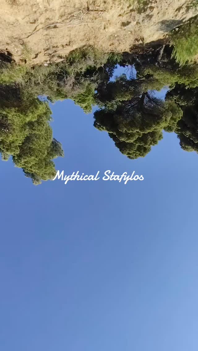 #skopelos #daycruise #sailing #swimming #alonnisos