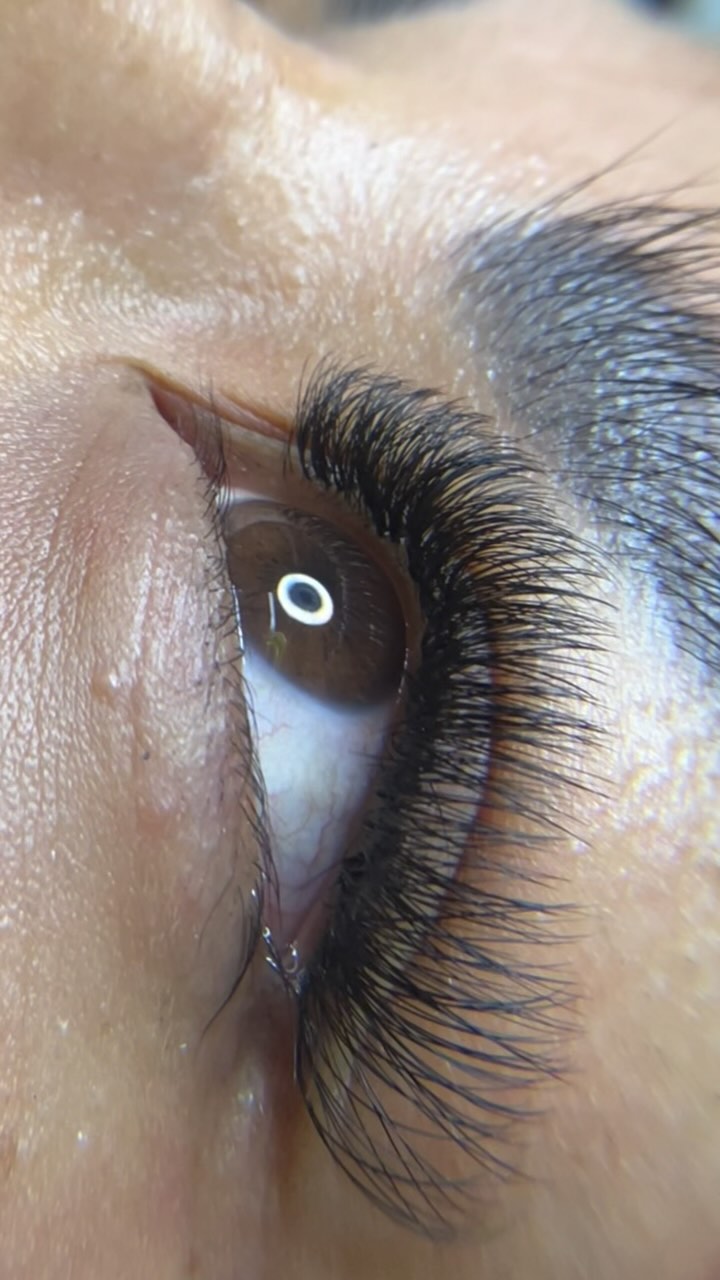 🌱Lashes 🌱 looks that make you fall in love 💚 •
•
•
•
•
#hallandalebeach#lashes#brownlamination#liftingpestañas#cejasenhilo#lashlifting#threading#volumenruso#depilacion#henna#fallowme#funnyvideos#funnyreels………. Call me for appointments : (786-506-4671)