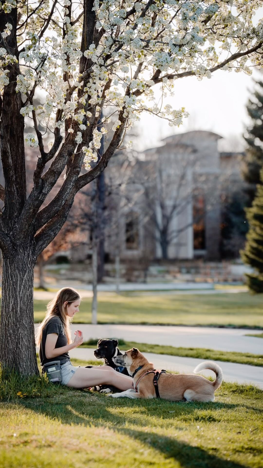 Lights, 📸, bitch, smile #taylor