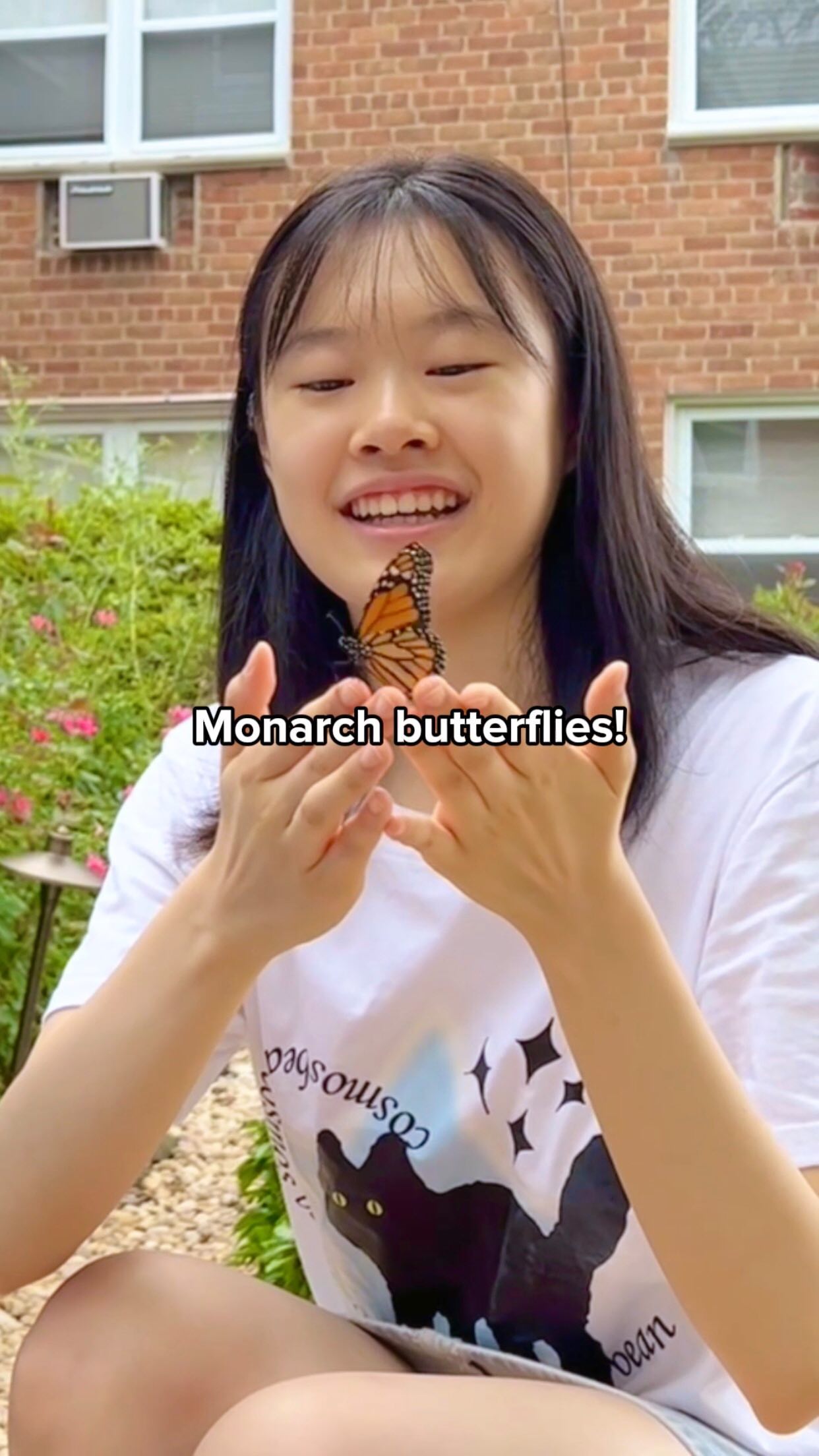 Look at those smiles 🥹💖 These monarchs are giving us butterflies… literally and figuratively!
Follow our journey @monarchs_matter to learn how you can help save these beautiful creatures from extinction.
#monarchsmatter #monarchbutterflies #butterflies #threatenedspecies #naturelovers #butterfliesofinstagram #environmentalawareness #biodiversityloss #nativespecies #animallovers #animalreels #youthactivism