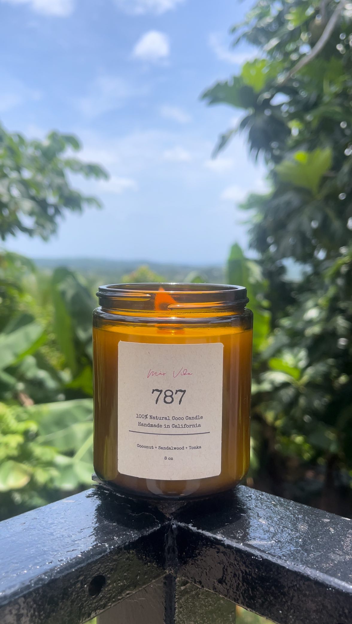 ✨ 787 ✨ Clean, luxurious crystal candle. Its sophisticated aroma evokes the lush landscapes and vibrant spirit of Puerto Rico. Notes of coconut, sandalwood and tonka bean whisper tales of passion and resilience 🇵🇷
Link in bio. Masvidaofficial.com