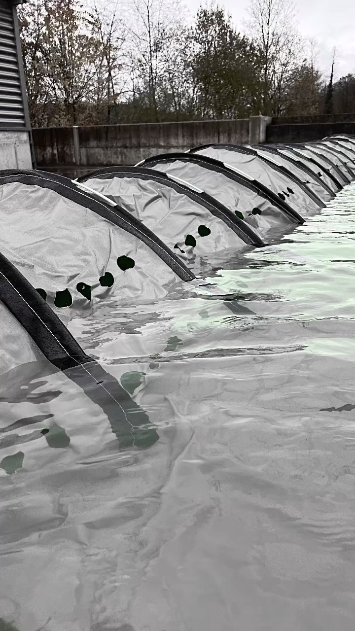 Mobiler Hochwasserschutz mit FLOODSNAKE – Schützen Sie Ihre Gemeinde und Ihr Unternehmen!
Wenn es um den Schutz von Menschenleben und Eigentum geht, ist schnelles Handeln von entscheidender Bedeutung. Mit FLOODSNAKE, dem innovativen mobilen Hochwasserschutz von Vogt Tools, können Sie in kürzester Zeit eine effiziente Barriere gegen Hochwasser und Überschwemmungen errichten.
Unsere Wassersperre ist äußerst einfach zu installieren und benötigt keine zusätzlichen technischen Hilfsmittel wie Strom, Druckluft oder zusätzliches Wasser. Sobald sich das Wasser in der FLOODSNAKE sammelt, erhöht sich die Stabilität der Barriere, was sie zu einer der schnellsten Abwehrmaßnahmen gegen Hochwasser macht.
Das Funktionsprinzip der FLOODSNAKE basiert auf einem flexiblen und robusten Halbrohr aus PVC, das durch Fiberglasstäbe in Form gehalten wird. Die Wassersperre füllt sich automatisch mit Wasser, wenn das Wasser steigt, und entleert sich automatisch, wenn es wieder abnimmt. Die Wassersperre kann auch durch Beschweren, Anbringen von D-Ringen oder Verankern mittels Ösen und Erdnägeln stabilisiert werden.
Die Floodsnake-Module können auch beliebig verlängert werden, indem sie einfach mit einem Reißverschluss-System und einem hochwertigen Klettsystem verbunden werden.
Schützen Sie Ihre Gemeinde und Ihr Unternehmen mit FLOODSNAKE – dem schnellsten und effektivsten mobilen Hochwasserschutz. Kontaktieren Sie uns noch heute für weitere Informationen.
Hashtags: #Hochwasserschutz #Flutschutz #Floodsnake #VogtTools #Wassersperre #MobilerHochwasserschutz #Überschwemmungen #Hochwasser #Notfall #Katastrophenschutz #Gemeinde #Feuerwehr #Firmen #Innovation #Sicherheit #Stabilität #Effizienz #Sandsäcke #Fiberglasstäbe #FlexiblesHalbrohr