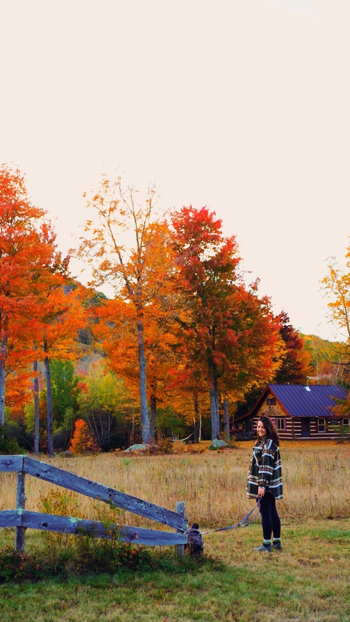 When the sun is sleepy and you’re getting ready to cozy up next to the fireplace in the most picturesque New Hampshire log cabin. Feels like I jumped straight inside the illustration on my maple syrup bottle 🍁☕️
#autumn #newengland #newhampshire #cabin #logcabin #cabinfolk #fallroadtrip #maplesyrup #cozyliving