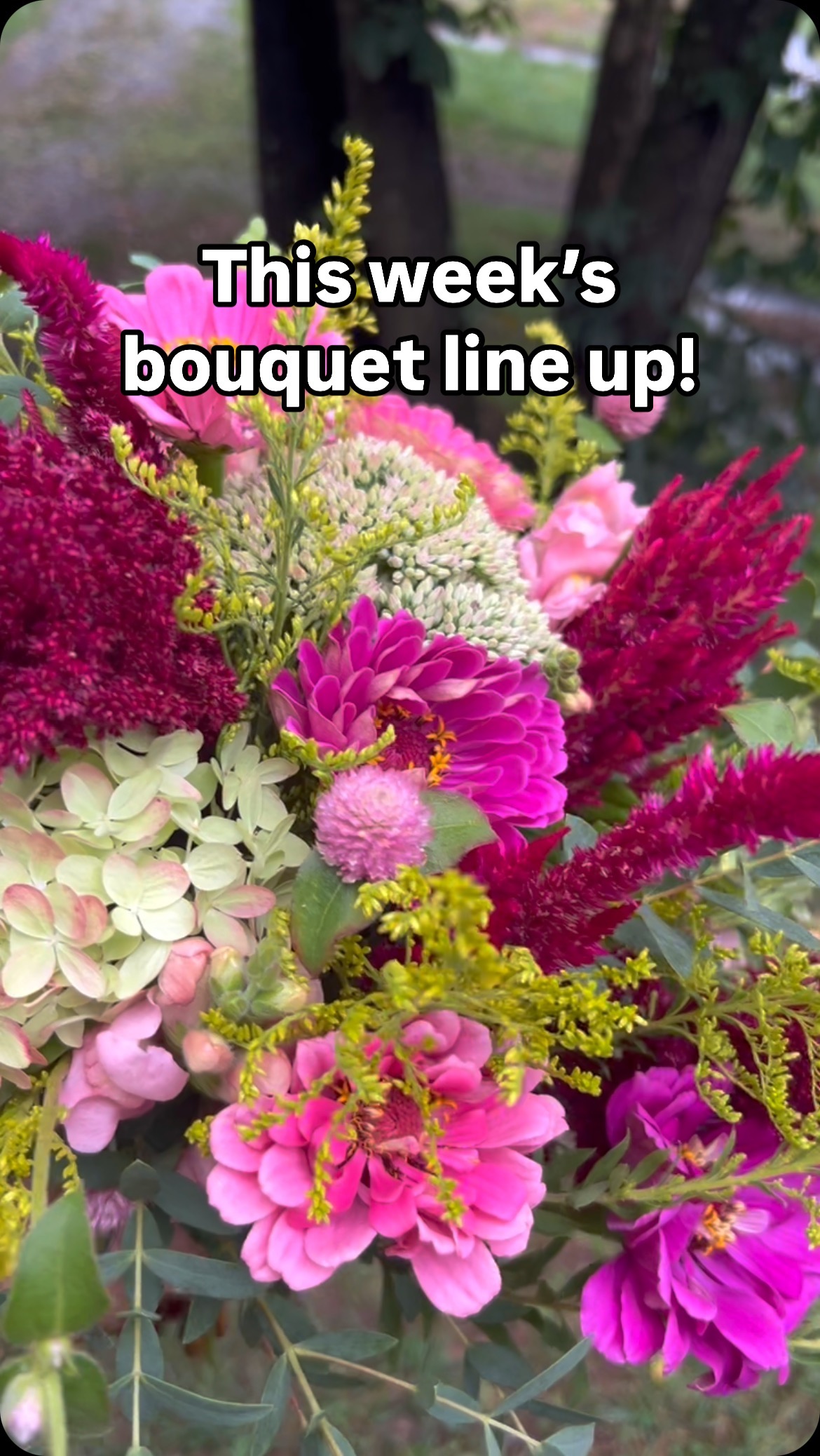 Here’s our bouquet line up this week and check out the cooler this morning. It was almost full. We’re finally starting to get back to our normal summer quantities of flowers now that we’ve had some more rain. Get your blooms this weekend at one of our farmers markets. We’ll be at Old Town Alexandria from 7-12 and Clarke County from 8-12 tomorrow and we’ll be at Brambleton on Sunday from 9-1. Happy Labor Day everyone!! #walkingwindfarmandflorist #clarkevafarmmkt #berryvilleva #clarkecountyva #eatlocofarmersmarket #eatloco #ashburnva #oldtownalexandriafarmersmarket