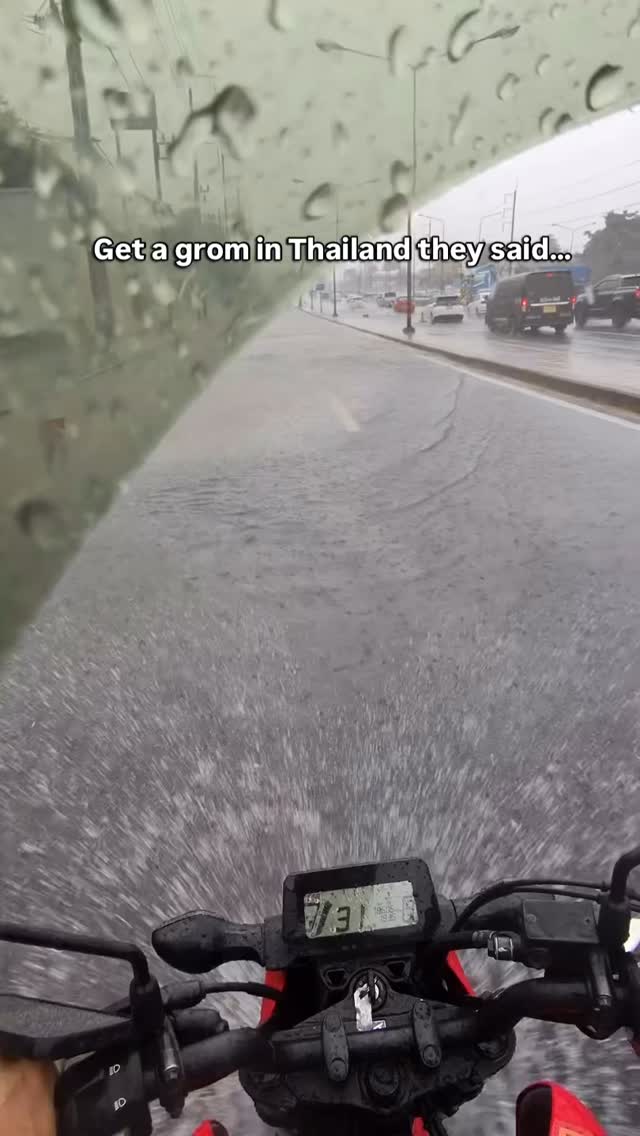 It’ll be fun they said….