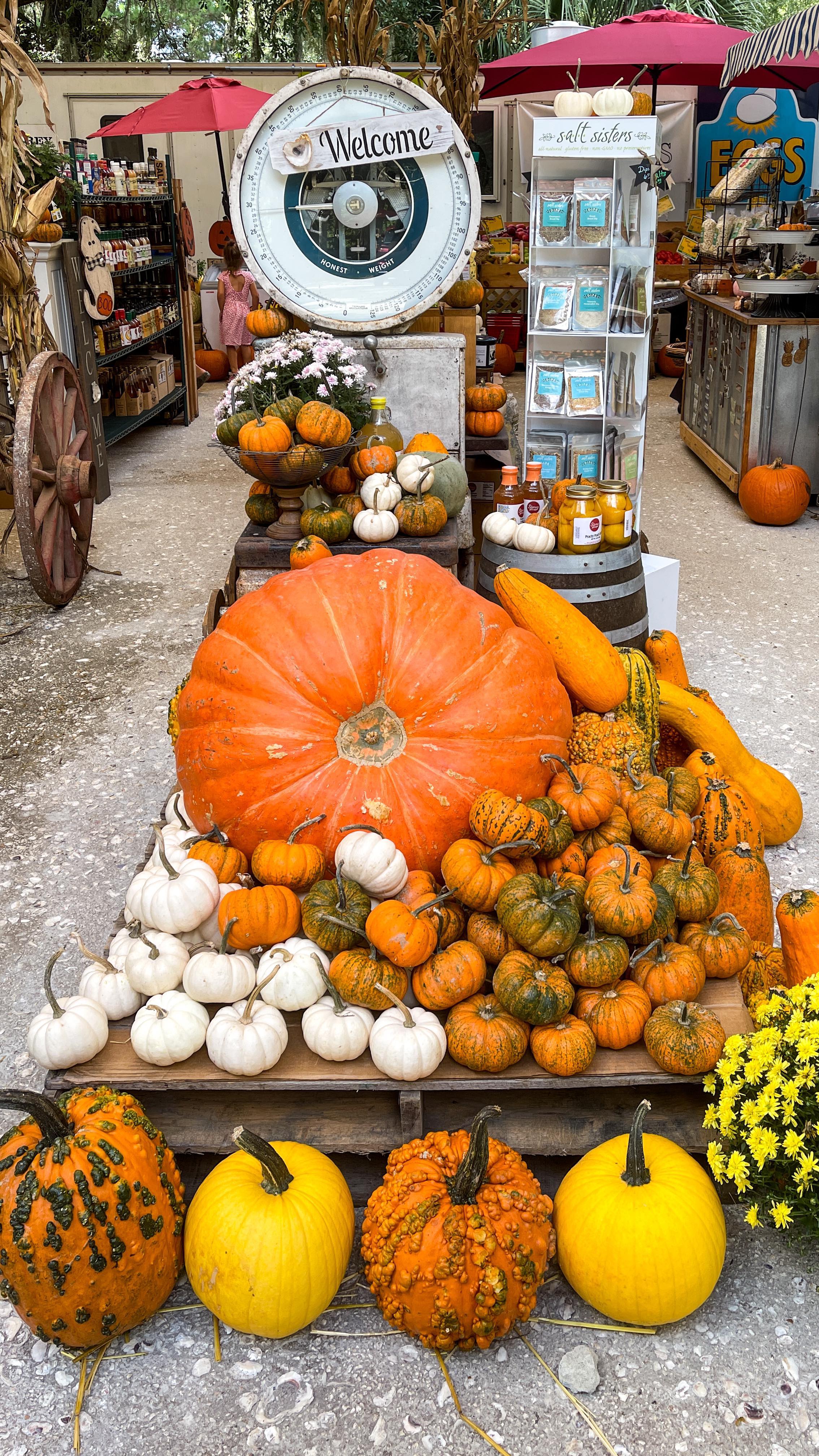 🏡 🎃 October Monthly Home Maintenance Checklist
1️⃣ Check Your Foundation and Crawlspace:
Walk around your home (and under go it, if you have a crawlspace) to inspect for any cracks in the foundation. These small issues can turn into bigger problems when the winter rain and humidity set in. If you spot any cracks or moisture issues, take care of it right away.
2️⃣ Close Your Pool:
Even though you might enjoy a few more warm days, pool season is winding down. When you’re ready, clean, close, and cover your pool for the off-season, or call your pool maintenance company to handle it for you.
3️⃣ Turn Off Your Sprinklers:
While it doesn’t freeze often here, it’s still smart to shut down your sprinkler system for the cooler months to avoid any potential damage.
4️⃣ Inspect Your Sump Pump:
With rainy weather on the way, make sure your sump pump is working properly to manage any rising groundwater.
Stay ahead of maintenance and keep your home in top shape this season.
#HomeMaintenance #CoastalLiving #SouthernLiving #WinterPrep #RealEstateTips