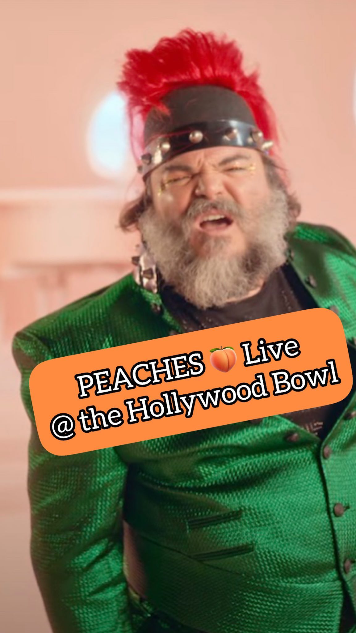 I love @jackblack so much! So happy I finally got to see him live 🥹 #JackBlack #peaches #mario #tenaciousd #nintendo #hollywoodbowl #laphilharmonic #bowser