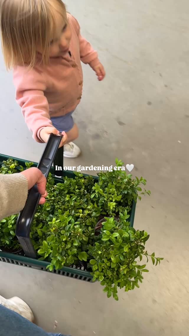 Weekend loading🚀🤍🌿