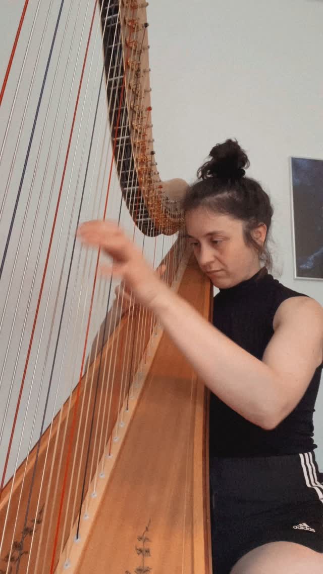 Met my old friend Scarlatti today
#day73 #100daysofpracticechallenge #berlinmusician #harp #musicianslife #harpist #classicalmusician #100daysofpractice #solo #berlinartist
