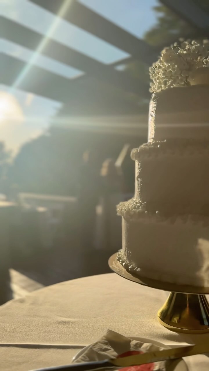 Celebrating the Champions on this perfect summer’s day! ☀️
Cecil Green Park House is such a unique venue with an open concept to host your wedding. This couple decided to have the ceremony out on the back lawn, cocktail hour and dinner on the patio, and dancing indoors. What a beautiful celebration it was!
Congratulations @laauren_champion & @bradenchampion - July 13, 2023 💍
Venue - @cecilgreenparkhouse
Photographer - @shantelsolotkiphotography
DJ & MC - @requestdjservices
#vancouverweddings #yvrdj #vancouverdj #cecilgreenparkhouse #weddingrecap #yvrevents #vancouverweddingdj #yvrweddings #604weddings #vancouverdjs