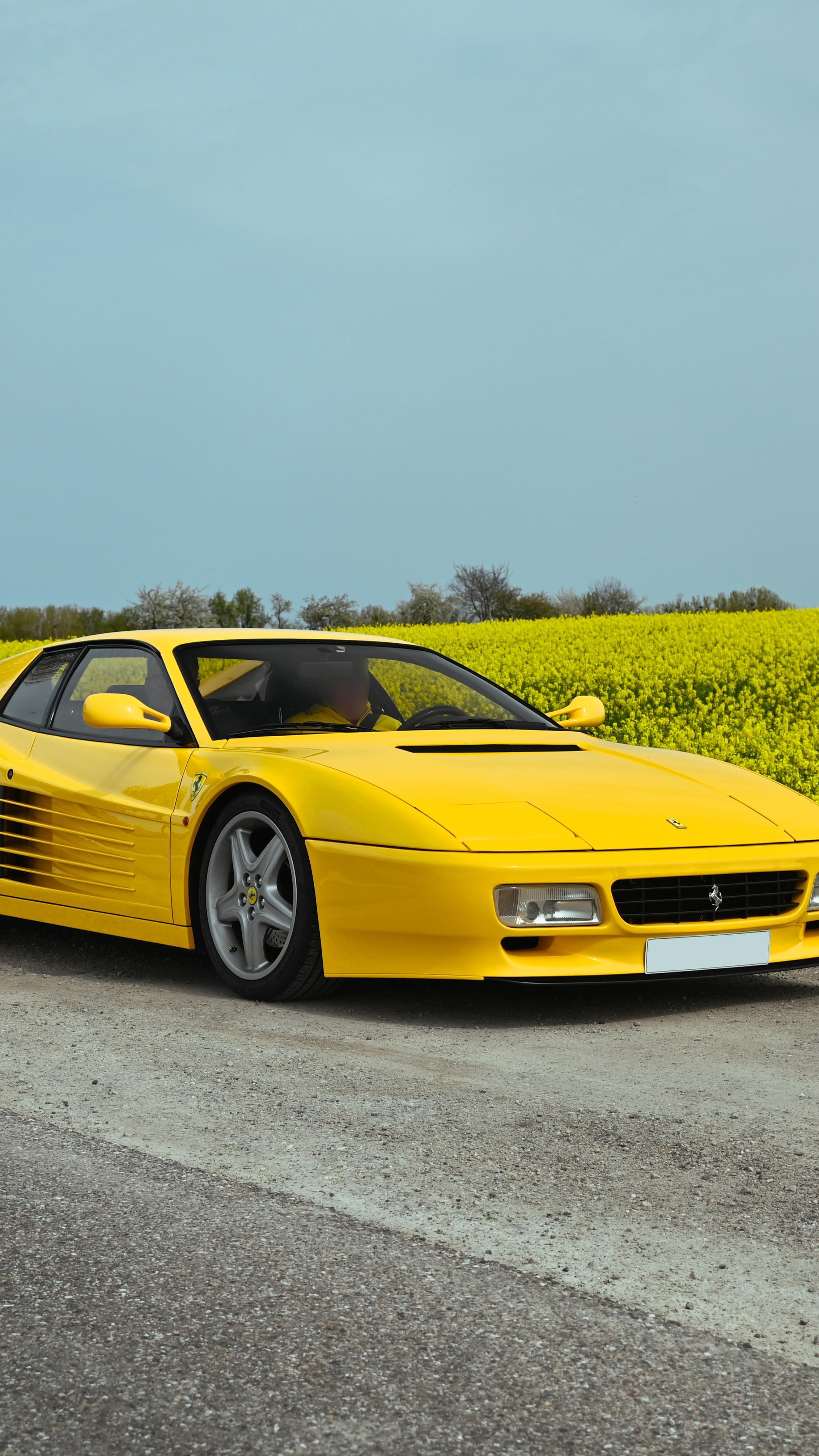 Giallo 512 TR
18/05/2025 - Timeless Classics - Alsace, France
www.timelessclassics.fr