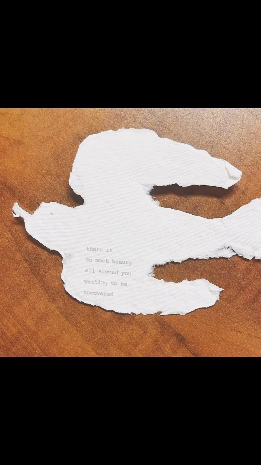 There is so much beauty around you waiting to be uncovered! What did you uncover today?