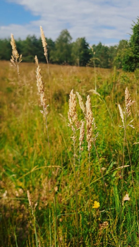 Für dich. Jetzt. Egal was ist. #takeabreak #justbreath wie war dein Tag? Wie geht's dir grad?