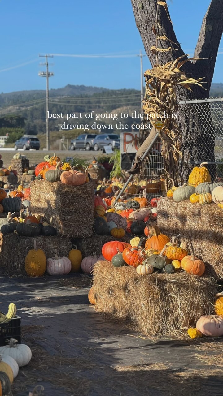 My kid didn't choose ONE pumpkin. But we came home with 5 ๐ซ ๐ซ