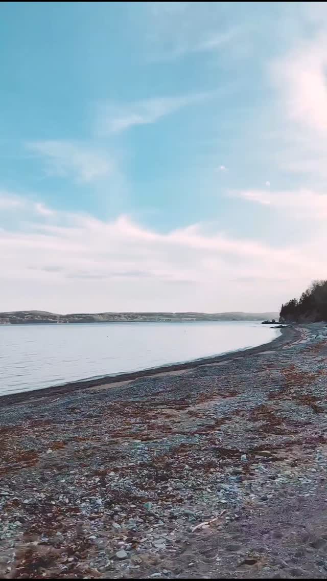 Bon... j’ai bien manqué le bateau pour souligner la Journée de la Gaspésie. 🛳️
Mais tsé, je l’habite à l’année longue cette belle Gaspésie-là, pis ça, j’en suis drôlement fière. 👑
Née ici, j’ai grandi entre mer et montagnes, à profiter de chaque petit joyau : les plages, les rivières, le bois, les gens, la nourriture, la simplicité.
Et même si j’étais un peu déçue d’avoir manqué les festivités d’hier, je sais que j’aurai mille et une autres belles occasions de célébrer ma région.
Alors à tous les Gaspésiens et Gaspésiennes, d'origine ou de coeur, bonne journée de la Gaspésie. ✨
Quelle chance inouïe d’avoir cette vie-là. 🩵
#vivreengaspesie #journeedelagaspesie