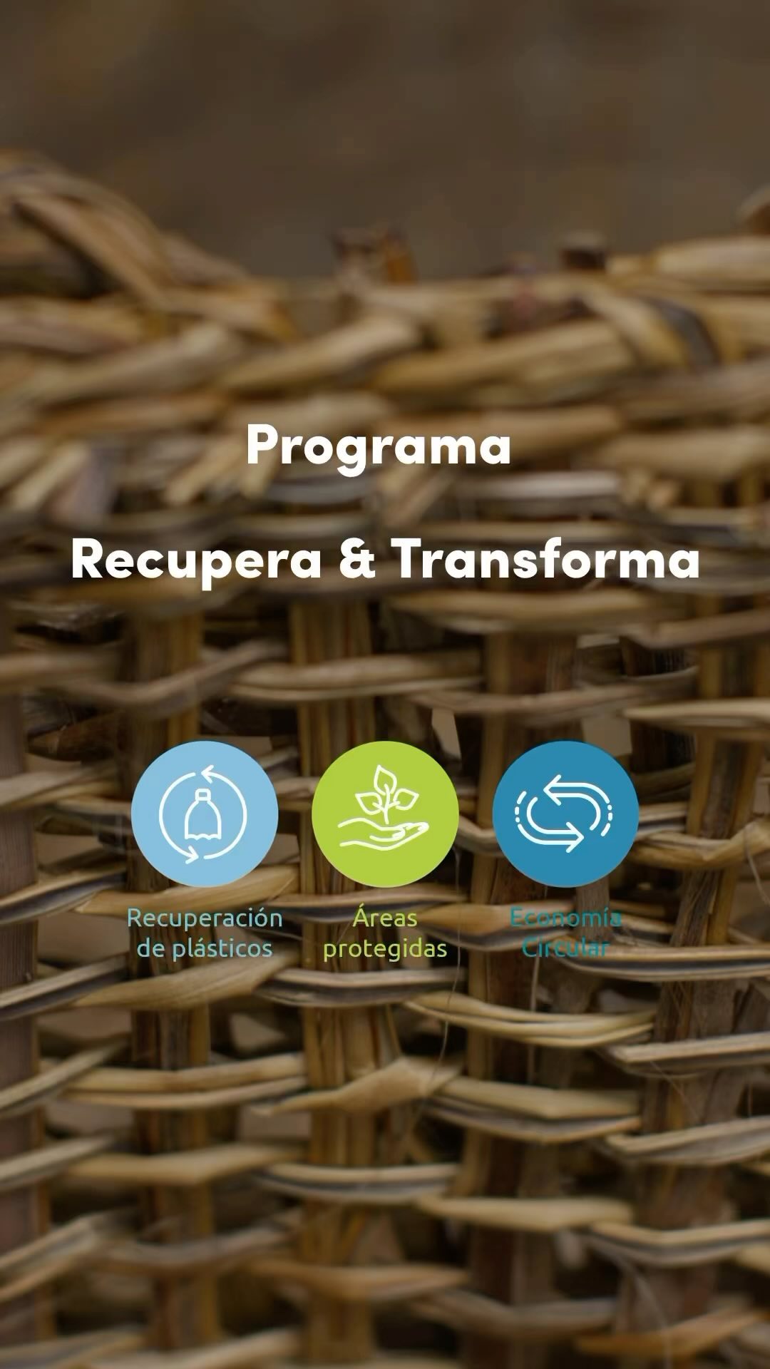 ¡Limpiemos Chiloé en un día! Ha llegado el momento de actuar. 🤝🏻
Este 2 de octubre, en el Día Nacional del Medio Ambiente, nos unimos para una misión: Limpiemos Chiloé en un día. Súmate a esta campaña, en la que forman parte todos los municipios de la Isla, así como empresas y organizaciones sociales. Juntos restauraremos playas y humedales de la isla, reduciendo residuos y protegiendo nuestros territorios. 🌱
María Catelicán, @kena_artesanias, representante de @islabonitachiloe, nos comparte cómo han trabajado en la valorización del plástico reciclado en Chiloé, transformando residuos en recursos valiosos que impulsan la economía circular local. Desde el programa Recupera Recupera y Transforma de La Ciudad Posible y @scj, creemos en que las alianzas estratégicas marcan la diferencia. ♻
Inscríbete como voluntario en www.recuperaytransforma.cl y ayuda este 2 de octubre a hacer de Chiloé un lugar más limpio y sostenible.📍
#LimpiemosChiloé #AcciónPorElPlaneta #ChiloéSostenible #RecuperaYTransforma #JuntosEsPosible