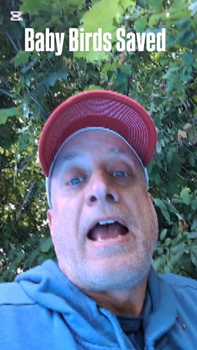 Scott saves Baby Birds. #birds #babies #nature