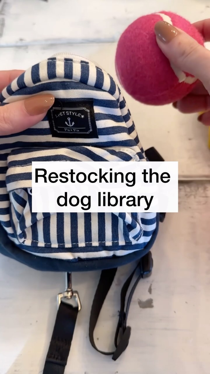 Restocking the dog library. Hope the neighborhood pups enjoy! ☀️ #doglibrary #seniordog