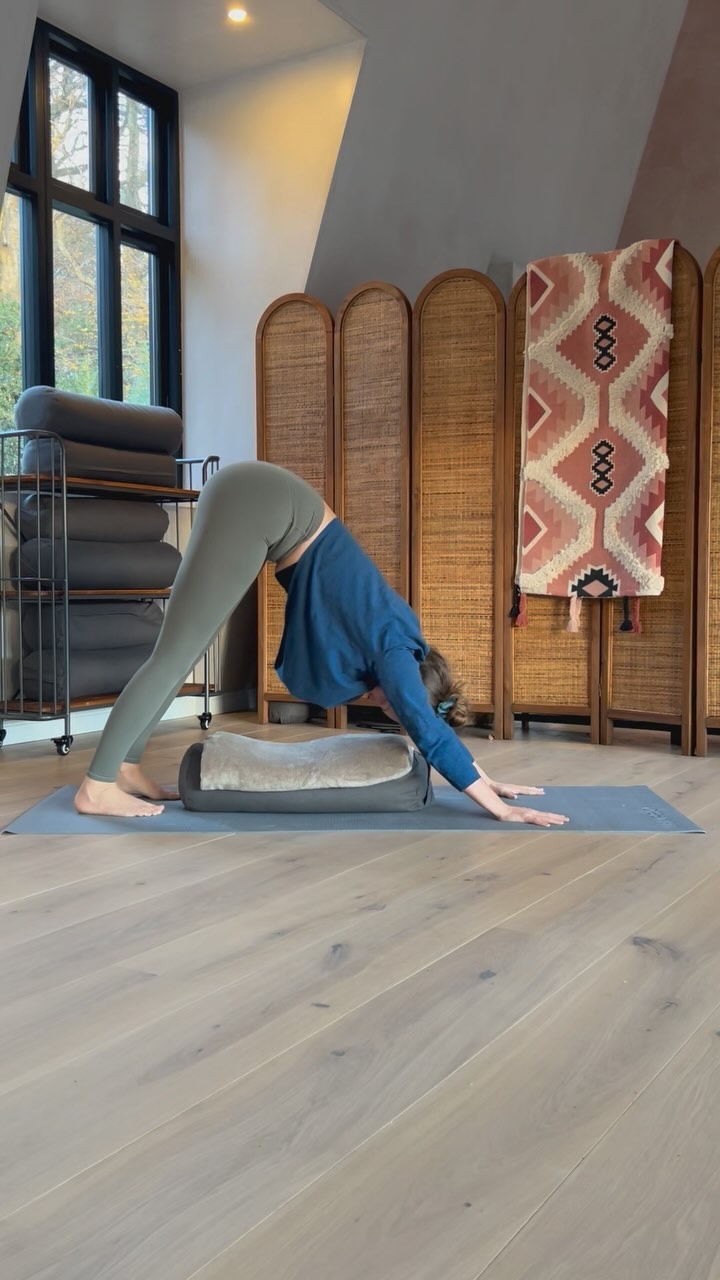 Grab a pillow and try this sequence for a releasing stretch:
Standing forward fold twist
Dangle forward fold
Downward dog
Supported child’s pose
Extended puppy pose & twists
Child’s pose
Stay in each pose for as long as it feels good 🧡
#yoga #yogasequence #yogaforall #yogaasana #yogaflow #yogalove