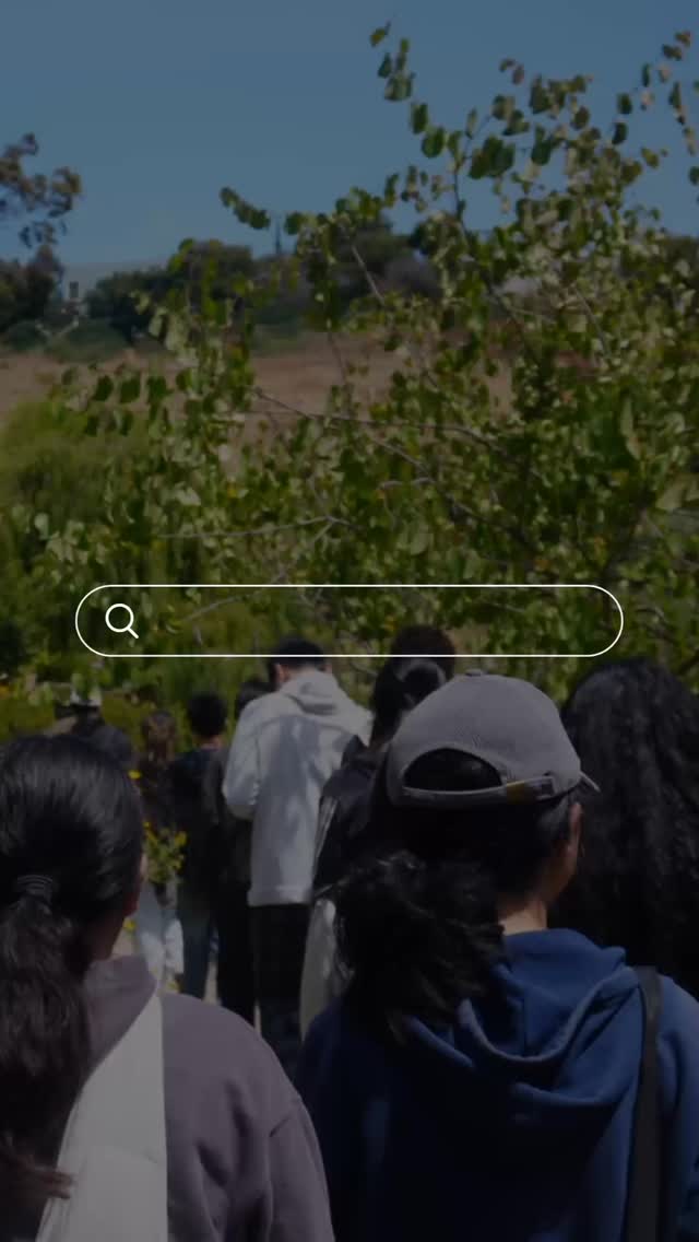 Our #sanfransisco summer internship is all about greening local spaces and empowering youth!
We’re mulching, planting, and caring for gardens along Seneca Ave and inside San Miguel Elementary—removing weeds, adding vibrant food beds, and clearing the toddler playground for safe play. 💪🌱
Interns are growing skills in leadership, teamwork, and sustainability while making a real impact!
#YouthStewardship #GreenSpaces #CommunityLeadership #ALivingLibrary